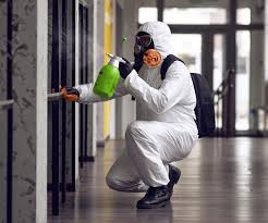 Trusted Jourdanton, TX Mold Remediation Experts